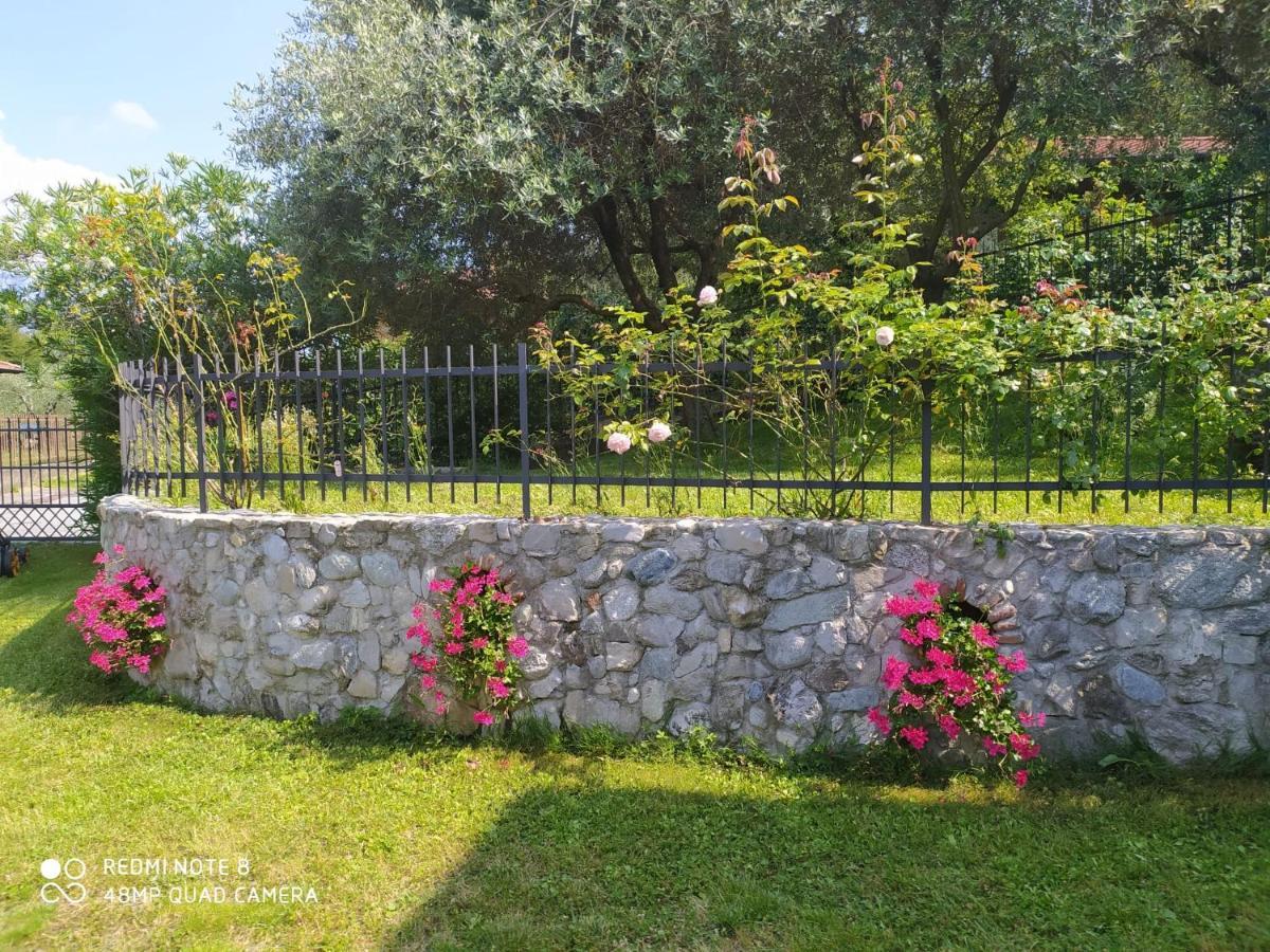 Mary Rose Apartments Oliveto Lario المظهر الخارجي الصورة