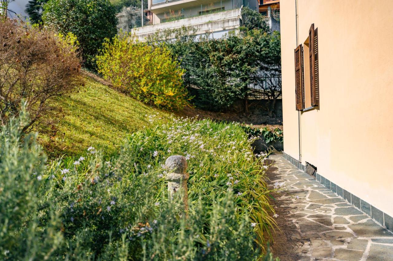Mary Rose Apartments Oliveto Lario المظهر الخارجي الصورة